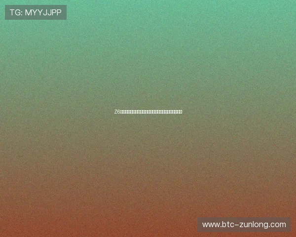 Z6尊龙官网登录入口安全保障措施，确保玩家账号信息安全