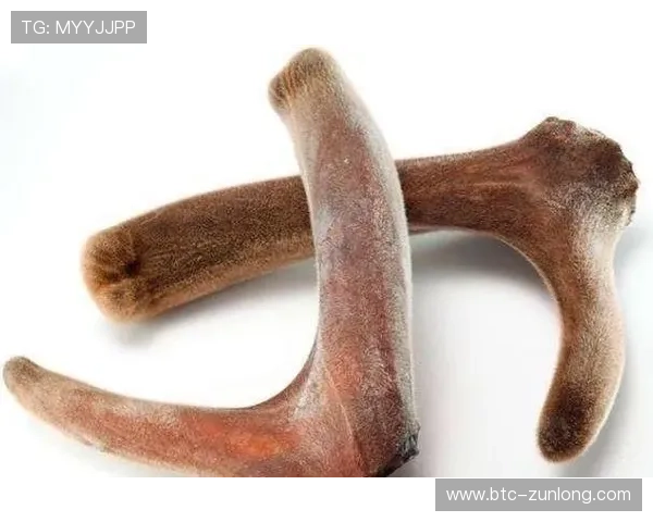 尊龙凯时娱乐注册登录:详细步骤帮助新手快速完成账号注册与登录流程 尊龙凯时娱乐注册登录:详细步骤帮助新手快速完成账号注册与登录流程