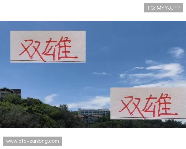 尊龙官方app下载安装常见问题及解决方案，确保无忧使用体验