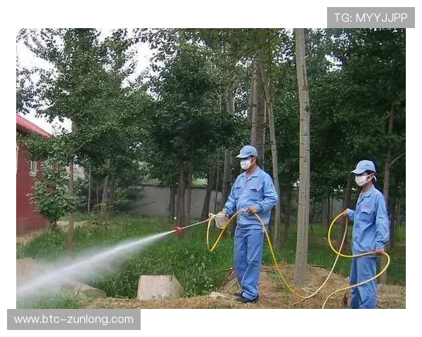 尊龙凯时官方网站入口:如何快速找到官方入口确保账号安全 尊龙凯时官方网站入口:如何快速找到官方入口确保账号安全