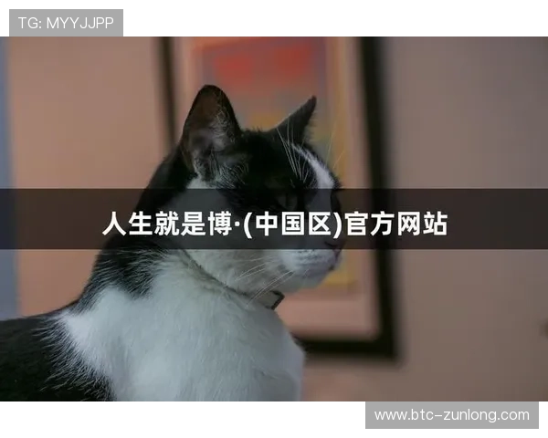 尊龙人生就是博i：用游戏体验人生百态，感受人生的博弈与精彩