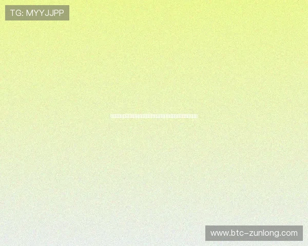新西兰对阵伊朗比赛主力阵容全景，关注核心球员及其在世界杯中的表现亮点